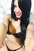 Torino Trans Escort Livia Andrade 350 92 73 666 foto selfie 50