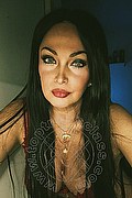 Legnano Trans Dayane Callegare Pornostar 320 31 87 804 foto selfie 19