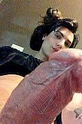 Milano Trav Escort Leticia Blend 327 81 28 533 foto selfie 5
