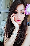 Lecco Trans Escort Samy 331 29 29 135 foto selfie 13