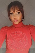 Treviso Trans Valeria 338 87 18 849 foto selfie 154