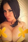 Reggio Emilia Trans Renata Dotata 366 90 74 656 foto selfie 60