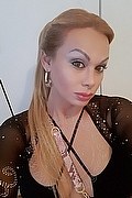 Modena - Savona Trans Brandy 388 38 60 479 foto selfie 6