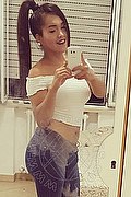 Forl Trans Thays 389 99 14 525 foto selfie 4