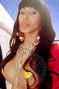 Reggio Emilia Trans Escort Natasha Class 380 20 31 504 foto selfie 20