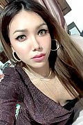 Campobasso Trans Escort Stella Dreams 389 16 86 605 foto selfie 105