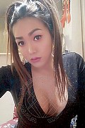 Campobasso Trans Escort Stella Dreams 389 16 86 605 foto selfie 102