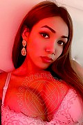 Campobasso Trans Stella Dreams 389 16 86 605 foto selfie 94