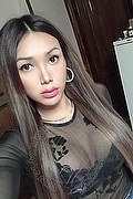 Campobasso Trans Escort Stella Dreams 389 16 86 605 foto selfie 107