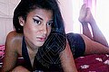 Perugia Trans Escort Miriany Ribeiro Pornostar 331 11 80 448 foto selfie 88