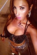 Lido Di Camaiore Trans Escort Leyla 338 33 98 084 foto selfie 44