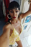 Brescia Trans Escort Kartika 349 22 31 753 foto selfie 244