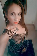 Legnano Trans Escort Leyla 338 33 98 084 foto selfie 40