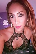 Torino Trans Escort Leyla 338 33 98 084 foto selfie 37