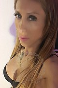 Lido Di Camaiore Trans Escort Leyla 338 33 98 084 foto selfie 12