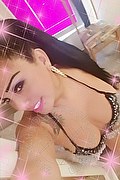 Legnago Trans Anaconda 23 Motivi 380 86 25 582 foto selfie 13