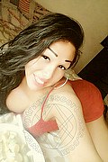 Lavagna Trans Escort Anaconda 23 Motivi 380 86 25 582 foto selfie 16