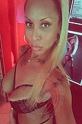 Hannover Trans Escort Barby Piel Morena Latina  004917676460548 foto selfie 17