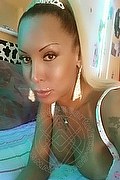 Hannover Trans Escort Barby Piel Morena Latina  004917676460548 foto selfie 16