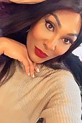 Biella Trans Escort Thalita Top Xxxl 388 48 85 062 foto selfie 1