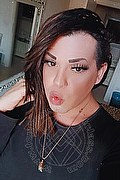 Rimini Trans Escort Chiara Italiana 379 12 33 337 foto selfie 21