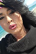 Catania Trans Medina 346 04 45 431 foto selfie 6