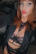 Treviso Trans Valeria 338 87 18 849 foto selfie 91