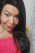 Prato Trans Taina Oliveira 328 53 82 487 foto selfie 88