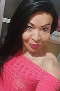 Prato Trans Taina Oliveira 328 53 82 487 foto selfie 86
