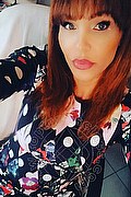 Treviso Trans Valeria 338 87 18 849 foto selfie 140