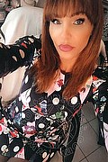Treviso Trans Valeria 338 87 18 849 foto selfie 139