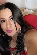 Frosinone Trans Escort Camilla Sexy Bambola 329 70 99 256 foto selfie 11