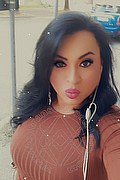Frosinone Trans Escort Camilla Sexy Bambola 329 70 99 256 foto selfie 16