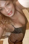 Lodi Trans Escort Maia 366 97 13 629 foto selfie 3