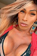Bari Trans Escort Antonella Mantovanny 333 13 33 842 foto selfie 66