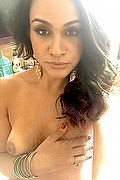 Bergamo Trans Escort Camilla Honey 334 24 71 717 foto selfie 92