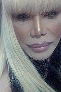 Milano Trans Escort Nicole Vip Venturiny 353 35 38 868 foto selfie 689