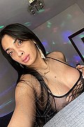 Napoli Trans Escort Arianna Ferrari Pornostar 389 61 78 417 foto selfie 19