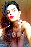 Reggio Emilia Trans Escort Reby 338 35 90 166 foto selfie 72