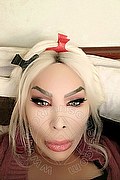 Bari Trans Monique 320 18 30 286 foto selfie 38