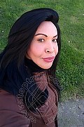 Prato Trans Taina Oliveira 328 53 82 487 foto selfie 119