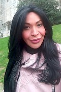 Prato Trans Taina Oliveira 328 53 82 487 foto selfie 82