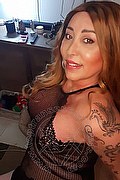 Gallarate Trans Escort Alessandra Sexy 329 17 69 850 foto selfie 5