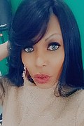 Cinisello Balsamo Trans Escort Meg Castellani 327 55 63 921 foto selfie 1