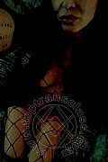 Treviso Trans Valeria 338 87 18 849 foto selfie 115