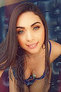 Roma Trans Priscilla Colucci 328 82 78 364 foto selfie 17