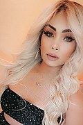 Treviso Trans Micaella Vayper 377 37 52 431 foto selfie 14