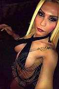 Bari Trans Cinzia Brasiliana 344 48 50 435 foto selfie 11