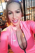 Piacenza Trans Escort Melany Lopez 338 19 29 635 foto selfie 14