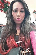 Piacenza Trans Escort Melany Lopez 338 19 29 635 foto selfie 19